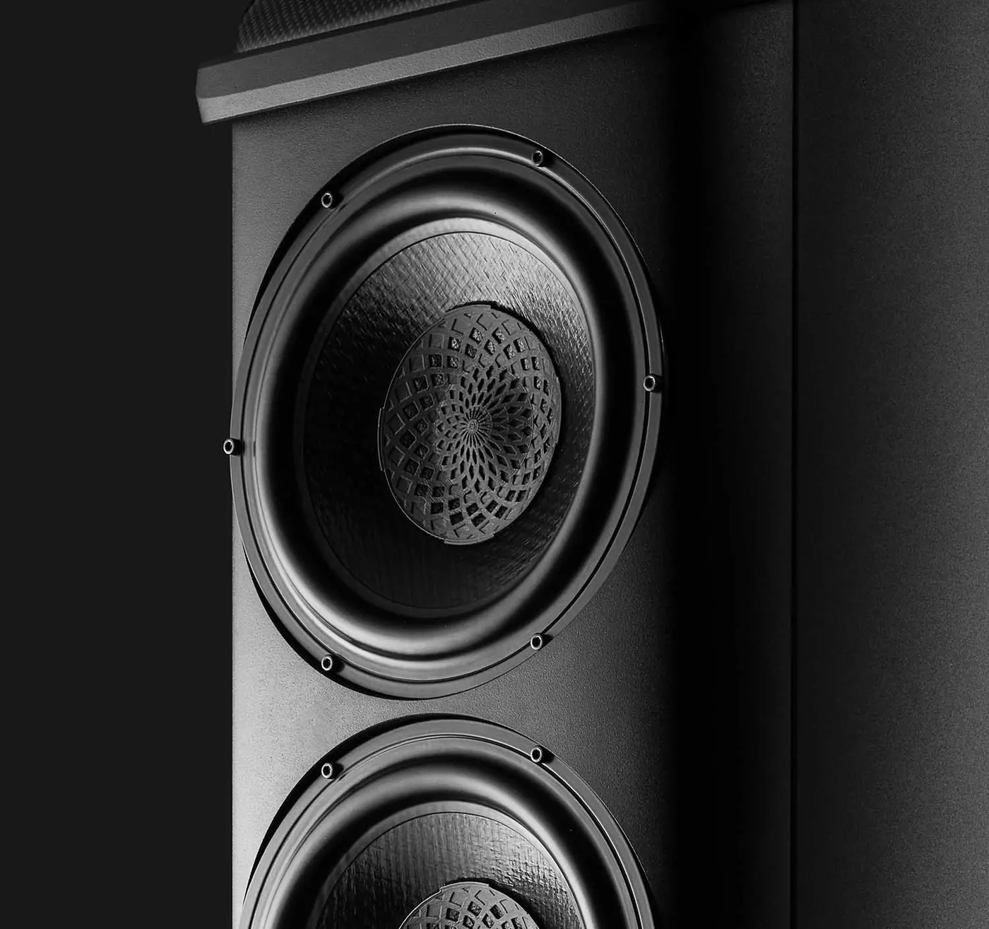 Close-up of a drive unit in a black Eminence cabinet: a dark cone around a domed dust cap made as an open lattice of curved ribs in a spiral pattern.